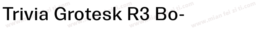 Trivia Grotesk R3 Bo字体转换